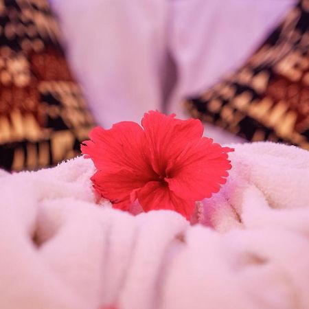 Nungwi Heritage Resort Екстериор снимка
